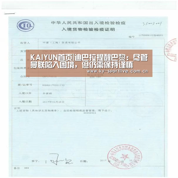开云比分