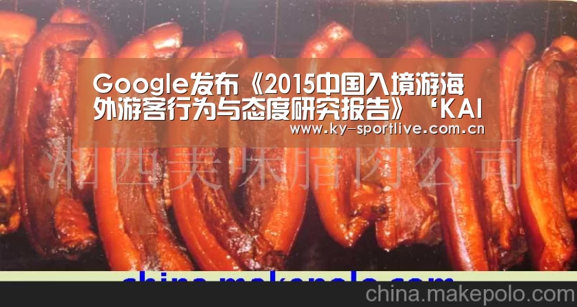Google发布《2015中国入境游海外游客行为与态度研究报告》‘KAIYUN首页’(图3) 开云比分